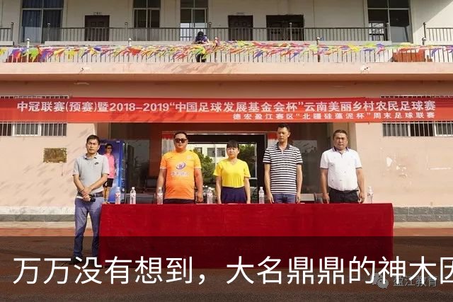 万万没有想到，大名鼎鼎的神木因为一根灯杆火了......